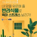 ＜내 맘을 위로해 줄 반려식물로 스트레스 날리기＞ 이미지