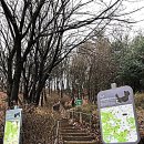 올레길 산림형 2코스 이미지