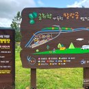 곰취향 가득한 팔랑골 캠핑장 이미지