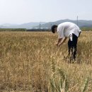 진심푸드 이미지