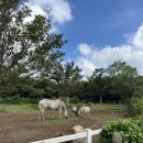 유찬목장 이미지