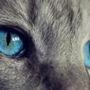 가정동물병원 이미지