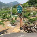 내고2농로 이미지