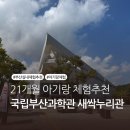 라인댄스(주간) | 21개월 아기와 다녀온 국립부산과학관 새싹누리관, 예약부터 체험까지 총정리(feat. 로봇댄스)