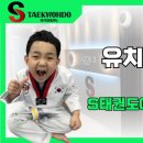 마곡S태권도장 이미지