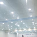 조코치의 수영교실 | 조코치의 수영교실 광주 연제동점