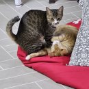 만세의료기 이미지