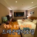 드래곤패밀리 | 용평모나 드래곤밸리호텔 디럭스패밀리트윈 아이랑 숙박후기