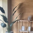 카페블루그린 | 북촌 자리 넓은 카페, 디카페인&amp;빵이 있는 그린마일커피 북촌점 솔직후기!(블루리본 인증)