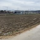 약속의땅공인중개사사무소 이미지