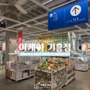 고리산통나무집 | [일상따옴] 기흥 이케아 유명한 제품부터 신상까지 내돈내산 구매 후기!