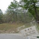 돼지우리 이미지