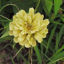 우이천 산책로 이미지