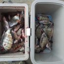 약산면-3 이미지