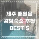 리아드 | 제주 애월 수영장 있는 인스타 감성숙소 BEST 5+링크･ﾟ✧