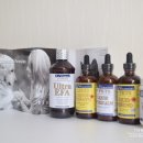 (주)이-글벳 이미지