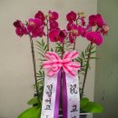 영주장례식장 이미지