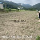 장동윤 콩 이미지