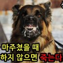 누 이미지