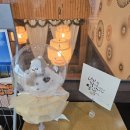 아다모coffee 이미지