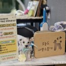 멍멍이발소 이미지