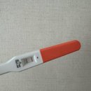 곰태지 | 게으른 엄마의 출산부터 일상 압축해서 기록하기