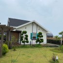 제주섬마리 이미지