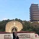 이우수산 | [여행] 중국 남경(南京,난징) 여행지 추천: 우수산 (牛首山)