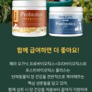 더스쿱 스쿱당 | 살안찌고 설사하는 강아지 유산균 추천 페라 오가닉 프로바이오틱스+프리바이오틱스