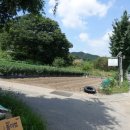 홍삼주유소 이미지