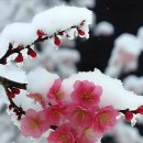 임마누엘 이미지