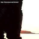 공룡게임랜드 이미지