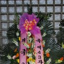 늘푸른꽃농원 - 고양시 일산동구 식사로 26 | 늘푸른꽃농원