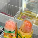 GS25용전대로점 앞 | GS25 신상 아이스크림 프로즌 소르베 망고맛 복숭아맛 후기