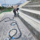 씨엔케이글로벌