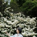 팔공산힐링 | 대구 팔공산 동명 자연 속 힐링카페 &#39;시크릿가든&#39; 후기