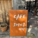 모레기동타잔 | 한라산이 보이는 서귀포 감성카페 : 모레기동 타잔, 풍경 맛집, 경치가 장난 아닙니다!