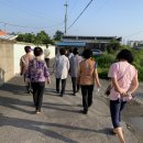 성주리마을회관 이미지