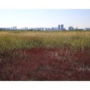 갯골생태공원 이미지