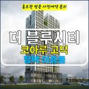 평택 고덕 코아루 더 블루시티 아파트 잔여세대 특별분양 분양가 문의 대표번호 분양 모델하우스 방문 사전예약 안내 이미지