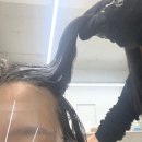 바라다동물병원 | 의정부역미용실 파인유 톤다운 염색 분위기 확 바뀐 후기