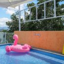 멍애견카페 이미지