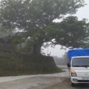 동곡시장 이미지