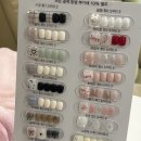 메종드다이아