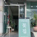 프로포즈신월 | 창원 신월동 꽃집 미떼플라워 다가오는 크리스마스에 예쁜 화분 선물하세요