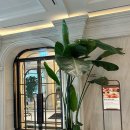 펜트온 | 제주 리조트 더 시에나 리조트 펜트하우스 인원 추가 후기 feat. 또떠남프리즘