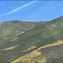 양편농장 이미지