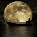 순리대로 이미지