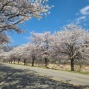 강변길 북천 이미지