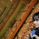 청춘사운드콘서트 이미지